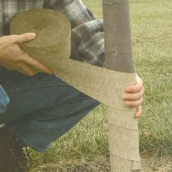 Tree Wrap Crinkled Paper 6in X 150ft