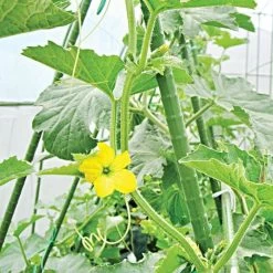 Knotty Takiron Green Steel Stakes, 7/16" X 4', Bundle Of 10 -Garden And Outdoor Store 114tsk 4