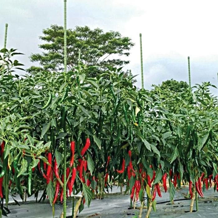 Knotty Takiron Green Steel Stakes, 7/16"x 6', Bundle Of 10 7 Knotty Takiron Green Steel Stakes, 7/16"x 6', Bundle Of 10 - Image 7