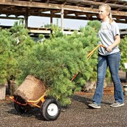 Leonard Ball Carts With Curved Lift, Pneumatic Tires -Garden And Outdoor Store 15cc 9