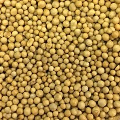 Osmocote 18-6-12 Slow-Release Fertilizer 5 Osmocote 18-6-12 Slow-Release Fertilizer -Garden And Outdoor Store 18612 2