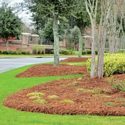 CleanStraw Premium Pine Straw Pallet Of 40 Bags 5 CleanStraw Premium Pine Straw Pallet Of 40 Bags -Garden And Outdoor Store 2001 40 live resort2