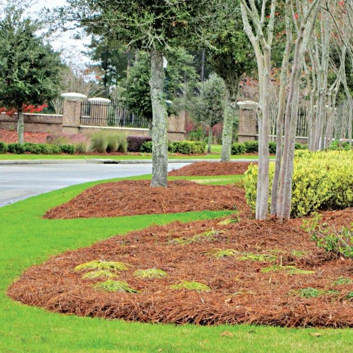 CleanStraw Premium Pine Straw Pallet Of 40 Bags 3 CleanStraw Premium Pine Straw Pallet Of 40 Bags - Image 3