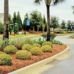 QuickStraw Premium Pine Straw -Garden And Outdoor Store 2001 3