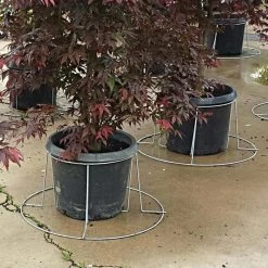 Better Bilt TopHat Plant Container Stabilizer - 20 Gallon Size -Garden And Outdoor Store 3ps20 2 1