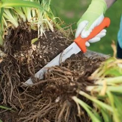 Leonard Wavy Edge Stainless Steel Cut-All Knife, 8-Inch Blade -Garden And Outdoor Store 4041t 6