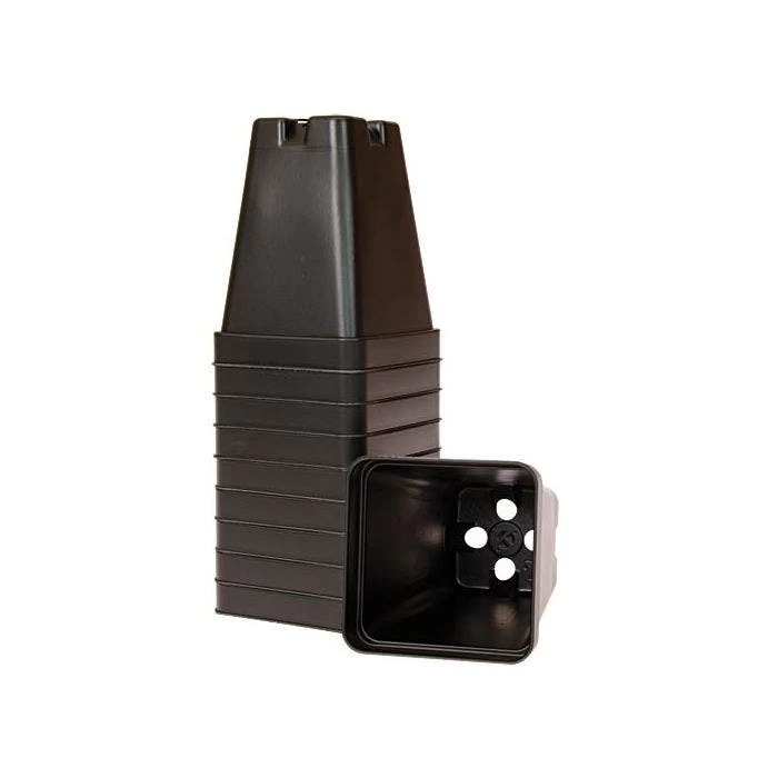 T.O. Plastics 3.25" Deep Square Pot, SVD-325, Bundle Of 450 1 T.O. Plastics 3.25" Deep Square Pot, SVD-325, Bundle Of 450