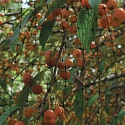 Netting, 7 Feet X 100 Feet, 3/4-Inch Square, Mesh 6 Netting, 7 Feet X 100 Feet, 3/4-Inch Square, Mesh -Garden And Outdoor Store 725pn 2