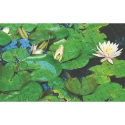 Netting, 7 Feet X 100 Feet, 3/4-Inch Square, Mesh 7 Netting, 7 Feet X 100 Feet, 3/4-Inch Square, Mesh -Garden And Outdoor Store 725pn pond