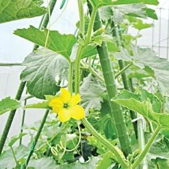 Knotty Takiron Green Steel Stakes, 3/8" X 4', Bundle Of 10 -Garden And Outdoor Store 84tsk 4