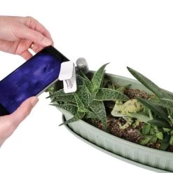 Active Eye Universal Mobile Phone Microscope -Garden And Outdoor Store aem60c 5