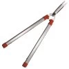ARS 6-inch Blade Hedge Shears, Telescoping 28.25 - 41.5 Inches