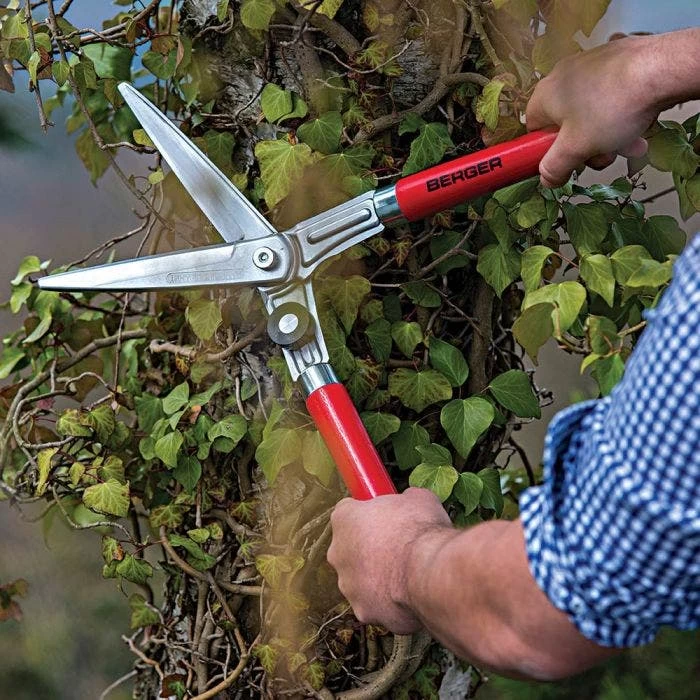 Berger Compact Precision Topiary Shear With Wooden Handles 3 Berger Compact Precision Topiary Shear With Wooden Handles - Image 3