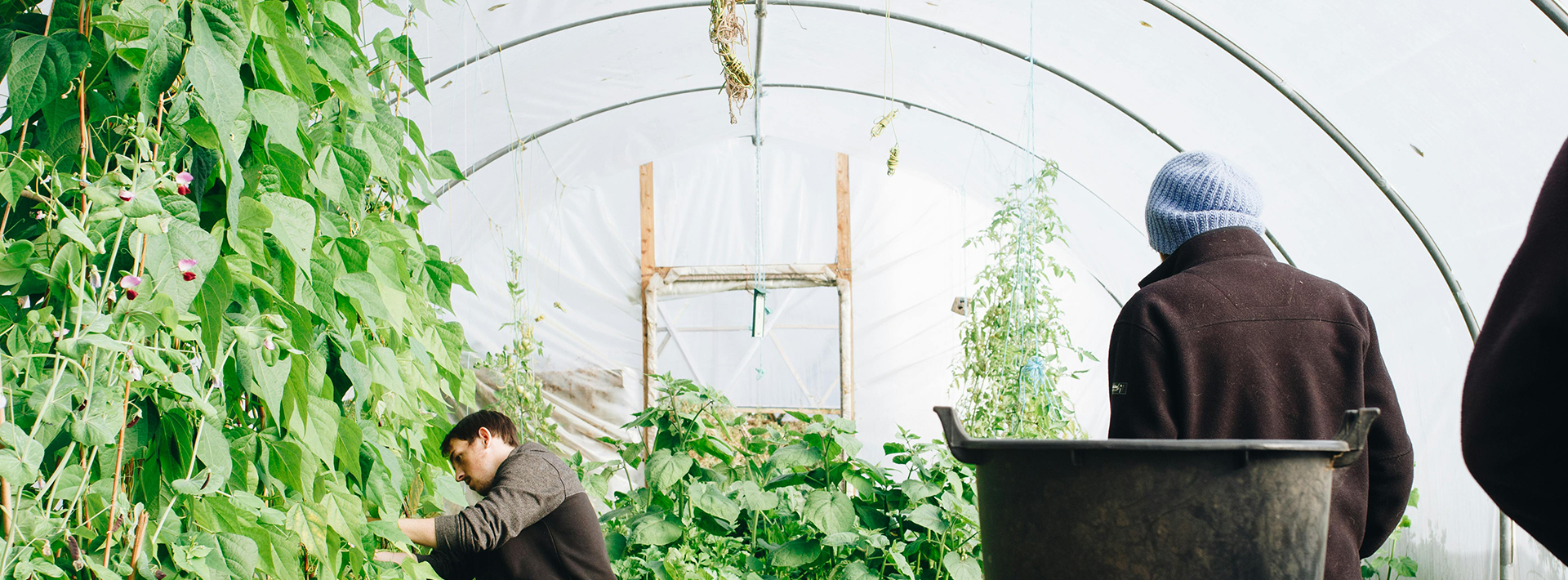 Garden And Outdoor Store 2 Garden And Outdoor Store -Garden And Outdoor Store baner2