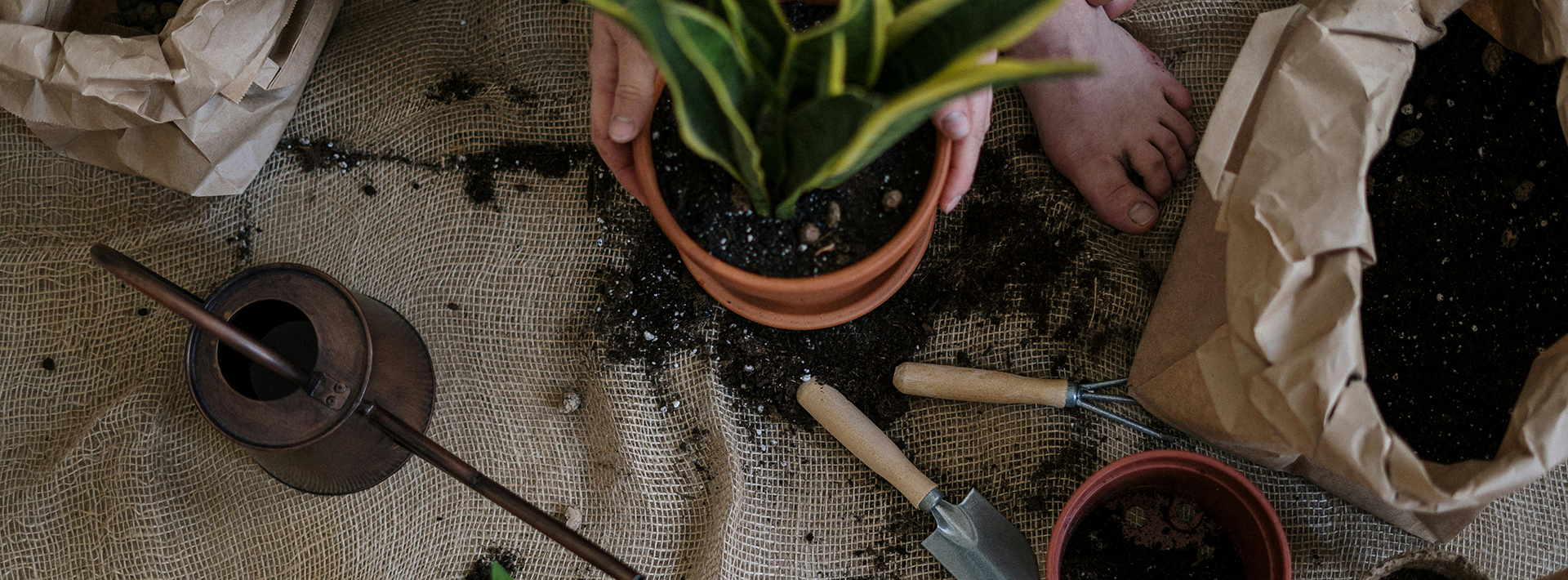 Garden And Outdoor Store 4 Garden And Outdoor Store -Garden And Outdoor Store banner1