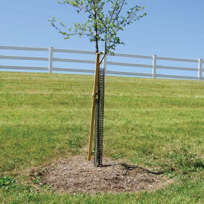 Leonard Rigid Plastic Mesh Tree Guards, 4-Inch Diameter, 24-Inch Length 2 Leonard Rigid Plastic Mesh Tree Guards, 4-Inch Diameter, 24-Inch Length - Image 2
