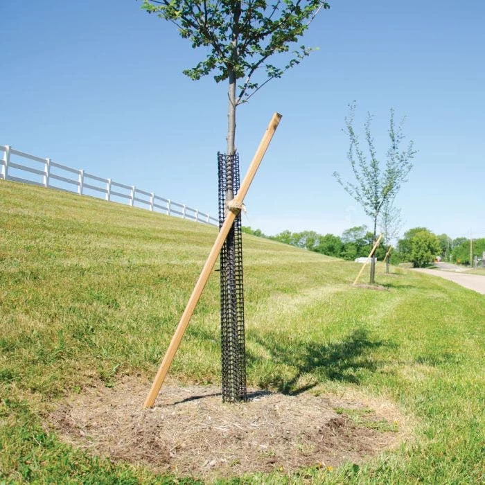 Rigid Plastic Mesh Tree Guard By A.M. Leonard, 4in Diameter X 36in Length, 5ct Bundle 2 Rigid Plastic Mesh Tree Guard By A.M. Leonard, 4in Diameter X 36in Length, 5ct Bundle - Image 2
