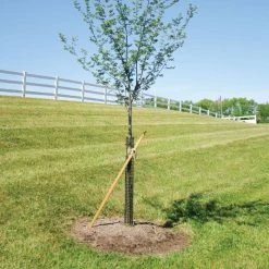 Rigid Plastic Mesh Tree Guard By A.M. Leonard, 4in Diameter X 36in Length, 5ct Bundle 8 Rigid Plastic Mesh Tree Guard By A.M. Leonard, 4in Diameter X 36in Length, 5ct Bundle -Garden And Outdoor Store bg36 2