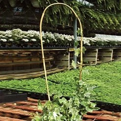 Bamboo Trellis U-Shape 100 Per Bundle 10in X 48in -Garden And Outdoor Store bt48 2 a