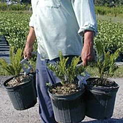 Large Can Handler -Garden And Outdoor Store can2 2