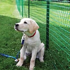 Standard Strength Pet Fence, 4ft X 330ft -Garden And Outdoor Store cn433 2