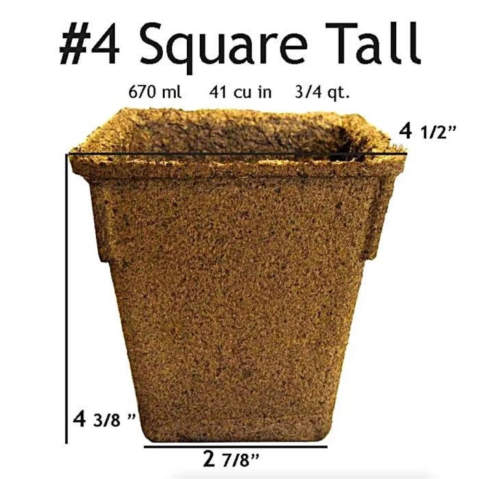 CowPots Biodegradable Pots, #4 Square Tall, 330 Per Case 2 CowPots Biodegradable Pots, #4 Square Tall, 330 Per Case - Image 2