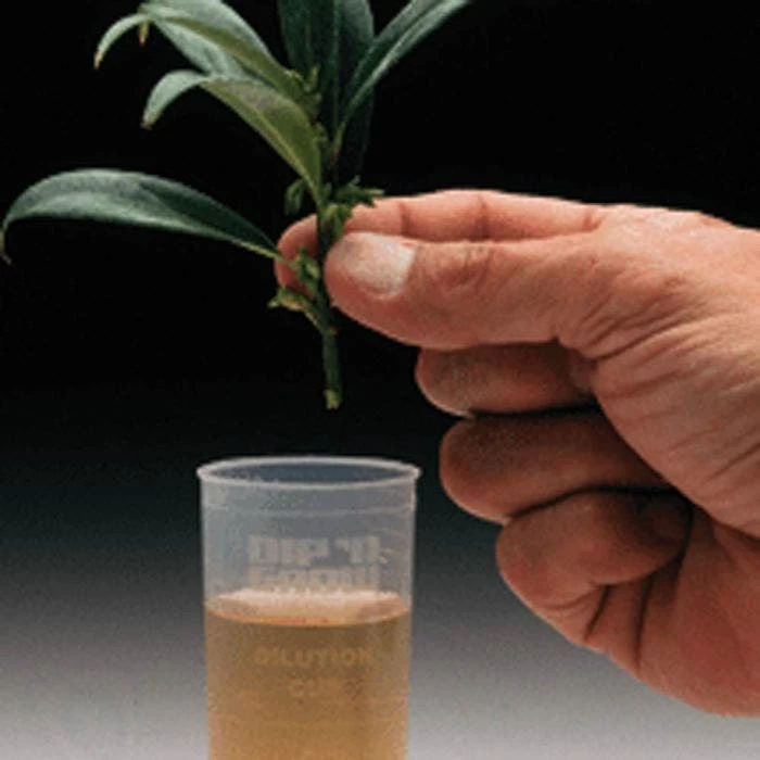 Dip 'N Grow Rooting Concentrate 2oz. 2 Dip 'N Grow Rooting Concentrate 2oz. - Image 2