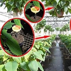 Spectrum Greenhouse DLI Meter -Garden And Outdoor Store dli100 gh 3