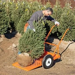 Leonard Flatbed 2-Wheel Nursery Cart, 2ft X 4ft Low Deck, 850 Lb Capacity -Garden And Outdoor Store f2448lw 5 1