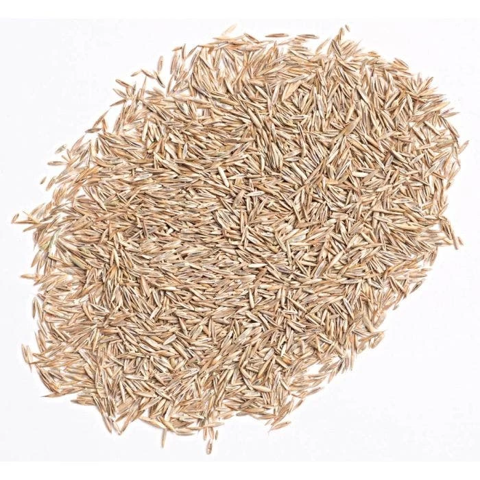 Fairlawn Shade Mix, 5 Lb Bag 2 Fairlawn Shade Mix, 5 Lb Bag - Image 2