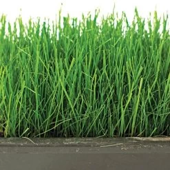 Fairlawn Shade Mix, 5 Lb Bag 5 Fairlawn Shade Mix, 5 Lb Bag -Garden And Outdoor Store flsh5 2 1