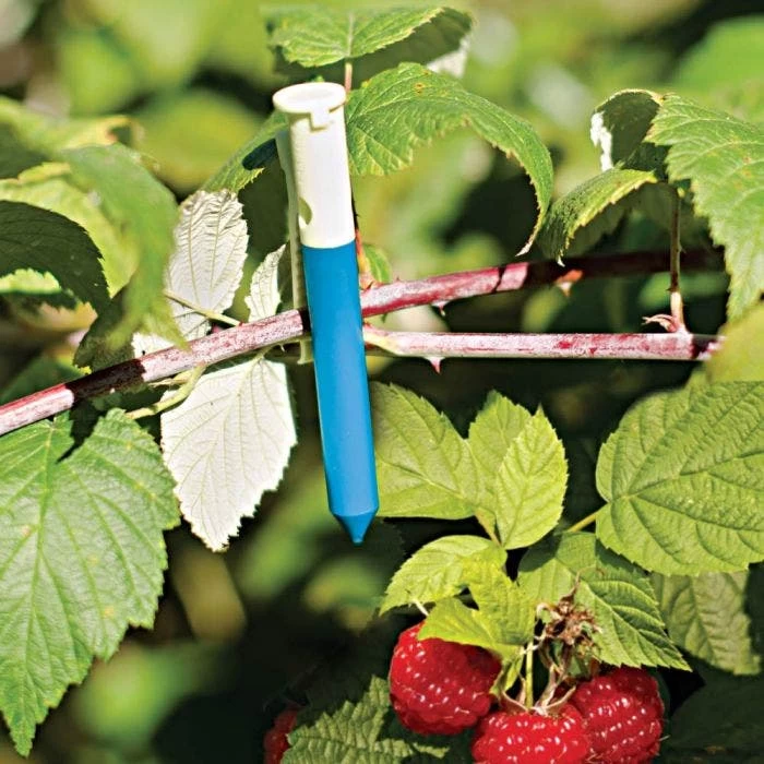 Deer & Rabbit Repellent Garlic Clips, Pack Of 100 2 Deer & Rabbit Repellent Garlic Clips, Pack Of 100 - Image 2