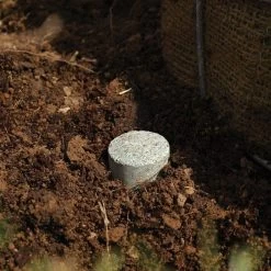 Leonard Fertilizer Tablets For Tree Planting 20-10-5 Controlled Release 24 Months 10 Grams -Garden And Outdoor Store lpt10 3 1