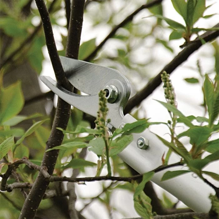 ARS LongReach Pruner 6ft Fixed Length Super Light Razor Edge 3 ARS LongReach Pruner 6ft Fixed Length Super Light Razor Edge - Image 3