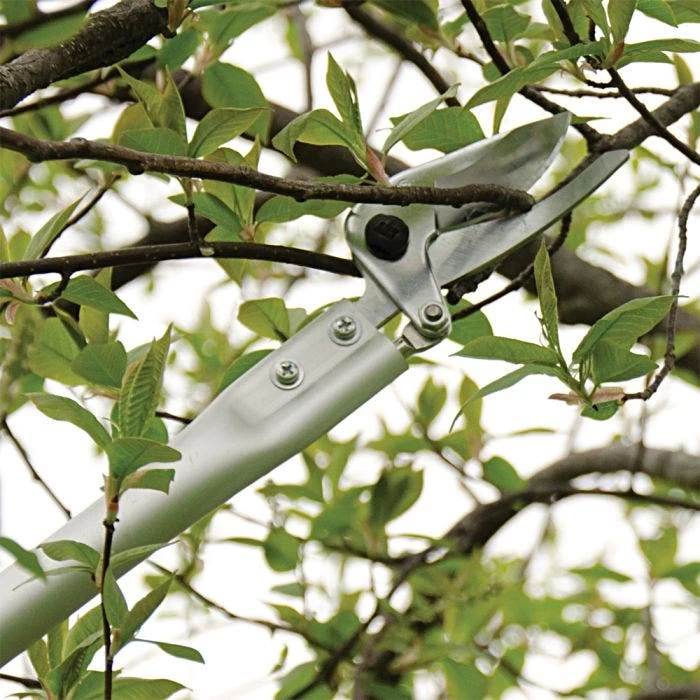 ARS LongReach Pruner 6ft Fixed Length Super Light Razor Edge 4 ARS LongReach Pruner 6ft Fixed Length Super Light Razor Edge - Image 4