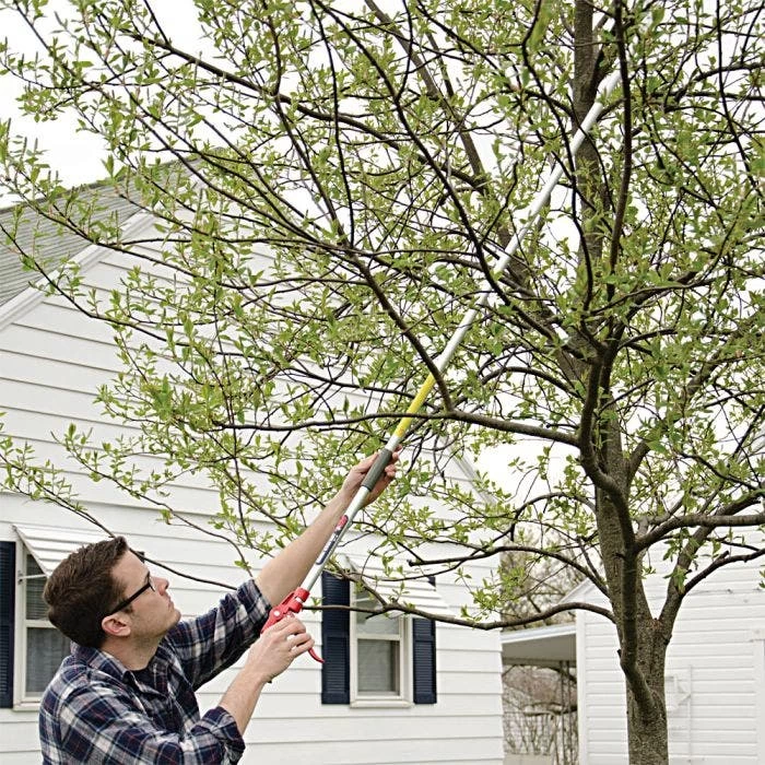 ARS LongReach Pruner 6ft Fixed Length Super Light Razor Edge 6 ARS LongReach Pruner 6ft Fixed Length Super Light Razor Edge - Image 6