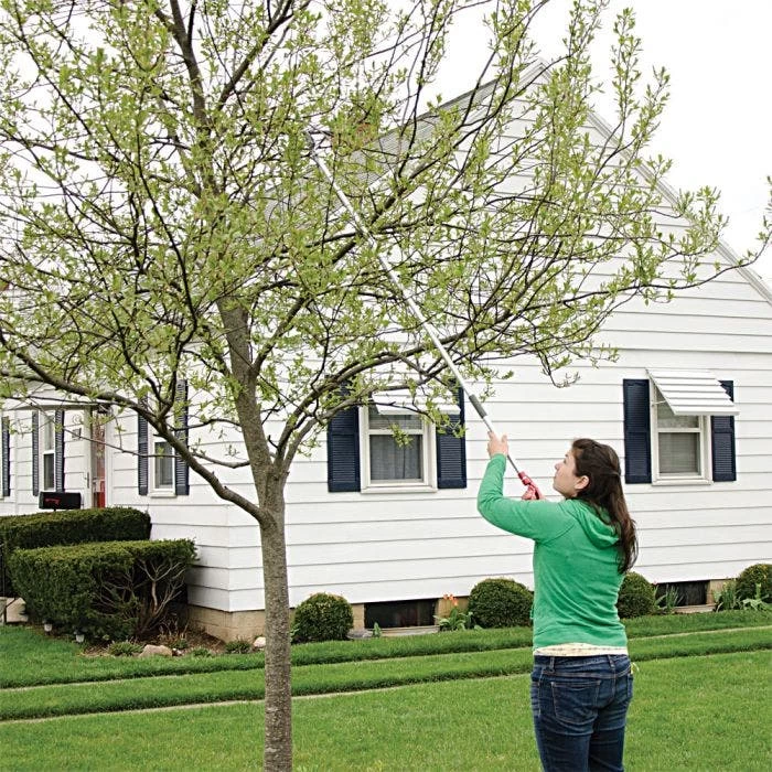 ARS LongReach Pruner 6ft Fixed Length Super Light Razor Edge 7 ARS LongReach Pruner 6ft Fixed Length Super Light Razor Edge - Image 7