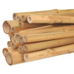 3-Foot Natural First Cut Premium Bamboo Stakes, 12-14 Mm Diameter, Bundle Of 250