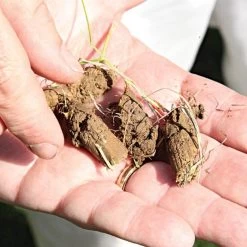 Brinly Tow-Behind Plug Aerator -Garden And Outdoor Store pa48 3