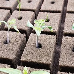 OASIS Grower Solutions Rootcubes, 104 Ct -Garden And Outdoor Store rc104 2