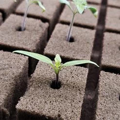 OASIS Grower Solutions Rootcubes, 104 Ct -Garden And Outdoor Store rc104 3