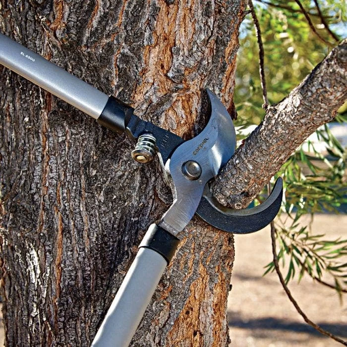 Corona Super-Duty Lopper, 3-inch Cut Capacity 3 Corona Super-Duty Lopper, 3-inch Cut Capacity - Image 3