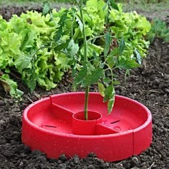 Tomato Crater, 3-pack -Garden And Outdoor Store tc3 4