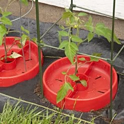 Tomato Crater, 3-pack -Garden And Outdoor Store tc3 6