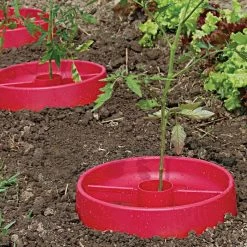 Tomato Crater, 3-pack -Garden And Outdoor Store tc3 7