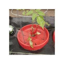 Tomato Crater, 3-pack -Garden And Outdoor Store tc3 9