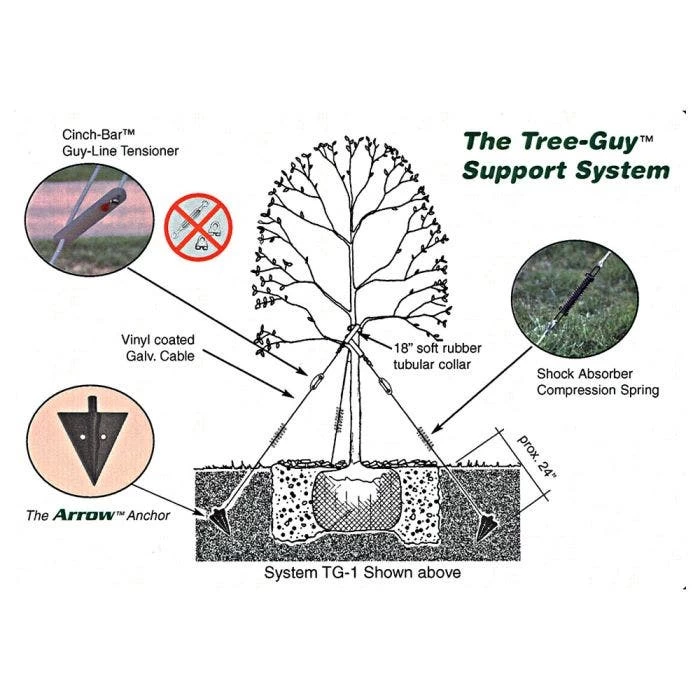 Tree-Guy Arrow Anchor W/ 12' Tree Tie Webbing 4 Tree-Guy Arrow Anchor W/ 12' Tree Tie Webbing - Image 4