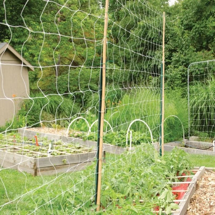 Hortonova Trellis Netting, 6-1/2 Feet X 30 Feet 11 Hortonova Trellis Netting, 6-1/2 Feet X 30 Feet - Image 11