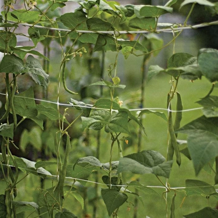 Hortonova Trellis Netting, 6-1/2 Feet X 30 Feet 12 Hortonova Trellis Netting, 6-1/2 Feet X 30 Feet - Image 12