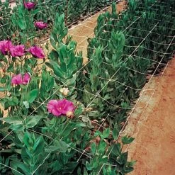 Hortonova Trellis Netting, 6-1/2 Feet X 30 Feet 34 Hortonova Trellis Netting, 6-1/2 Feet X 30 Feet -Garden And Outdoor Store tn630 14